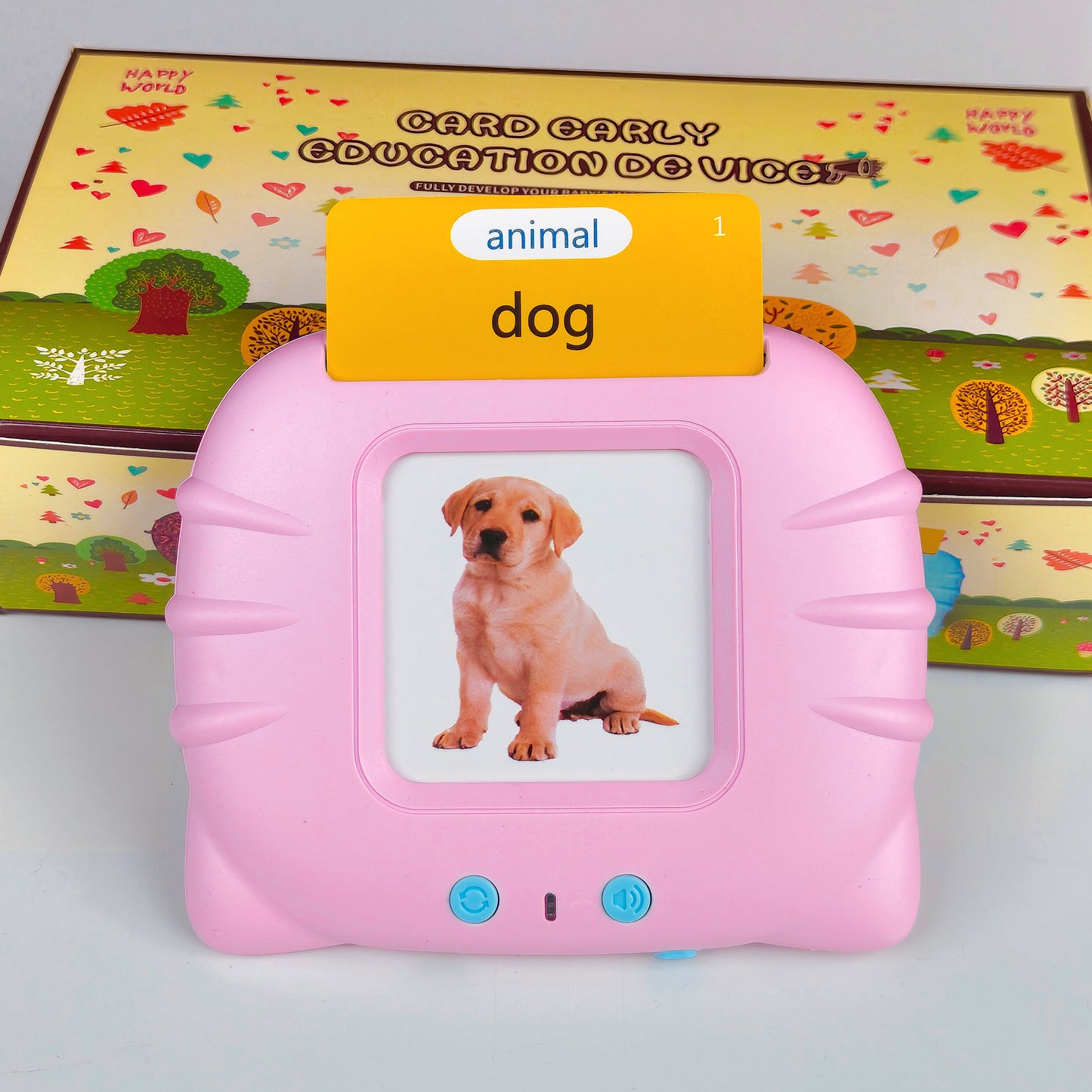 Talking Flash Cards for Kids